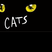CATS Comes to Australia for Limited Engagement Video