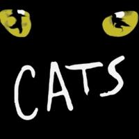 All-Canadian CATS Begins Tonight at Panasonic Theatre Video