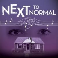 BWW Review: NEXT TO NORMAL Asks Who is Crazier? The One Who Gets Help or the One Who  Video