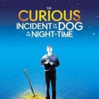 BWW Invite: Attend SAG Foundation Career Conversations with the Cast of THE CUROUS IN Video