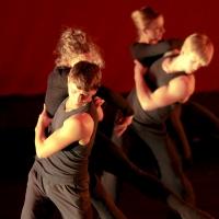 Photo Flash: First Look at DanceWorks Chicago's DANCE CHANCE Video