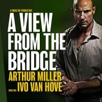 A VIEW FROM THE BRIDGE, HAMLET and More Among Amphibian Stage's 2015 National Theatre Video