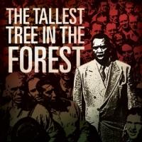 Kansas City Repertory Theatre to Open 2013-14 Season with THE TALLEST TREE IN THE FOR Video