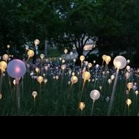 Bruce Munro Exhibits Light-Based Works at Franklin Park Conservatory and Botanical Ga Video