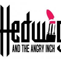 HEDWIG AND THE ANGRY INCH Runs This Weekend at HMAC Video