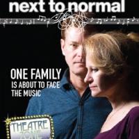 BWW Reviews: Theatrezone Tackles Crazy with NEXT TO NORMAL