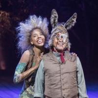 Photo Flash: Full Production Shots of Old Globe's A MIDSUMMER NIGHT'S DREAM - Krystel Lucas, Jay Whittaker & More!