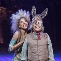 Photo Flash: Full Production Shots of Old Globe's A MIDSUMMER NIGHT'S DREAM…