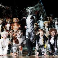 CATS is Officially Aiming for Broadway Return in 2016; Fall or Spring?