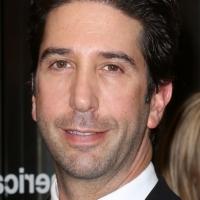 David Schwimmer to Lead ABC's Comedy Pilot IRREVERSIBLE Video
