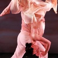 Amanda Selwyn Dance Theatre to Premiere RENEWAL in March Video