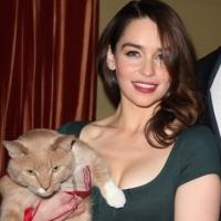 Photo Coverage: Meet The Cast of  BREAKFAST AT TIFFANY'S! Video