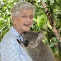 Photo Flash: Angela Lansbury Makes a Koala Friend Down Under Video