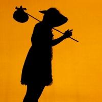 BWW Reviews: SHADOWLAND Is a Magical Journey to a World Beyond Sleep Video