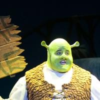 BWW Reviews: 3D Theatricals Shines Bright Green with SHREK THE MUSICAL Video