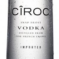 Sean 'Diddy' Combs and CIROC' Vodka Celebrate New Year's Eve in Saint Barts