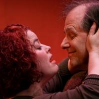 BWW Reviews: A DAY IN THE DEATH OF JOE EGG at ACT Engaging But Dated Video