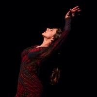 Omayra Amaya Brings FLAMENCO to The Deauville Hotel, Now thru 6/14 Video