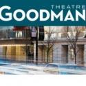 The Goodman Announces MEASURE FOR MEASURE Cast Video