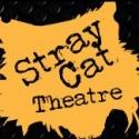Stray Cat Theatre Presents SONS OF THE PROPHET, Now thru 3/2 Video