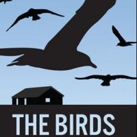 American Stage Begins 2013-14 Season with THE BIRDS Tonight Video