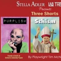 Stella Adler Lab Theatre Company Presents PURPLISH, SCHISM & THE STRAIGHT BOZO, 8/15- Video