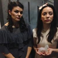 Old Mill Theatre to Present THE GLASS MENAGERIE Next Month