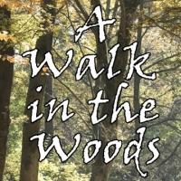 Quotidian Theatre Company Opens A WALK IN THE WOODS Tonight Video