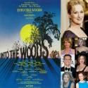 BWW EXCLUSIVE: Starry INTO THE WOODS Reading Cast Revealed; Meryl Streep Expected to  Video