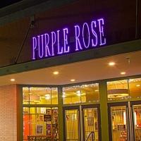 Purple Rose Conducts Economic Impact Study with Americans for the Arts