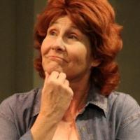 Photo Flash: Georgia Clinton in RED HOT PATRIOT, Opening 8/18 at Addison Theatre Cent Video