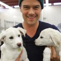 Josh Duhamel Joins PetSmart Charities to Shine a Spotlight on Homeless Pets  Video