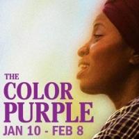 BWW Reviews: A Heartbreaking Epic is Speakeasy Stage Company's THE COLOR PURPLE Video