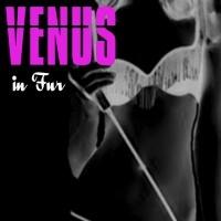 Bootless Stageworks Presents VENUS IN FUR, Now thru 3/22