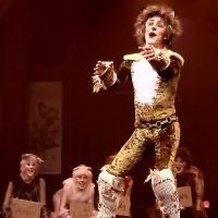 Beef and Boards Dinner Theatre Presents CATS, Now thru 3/30 Video