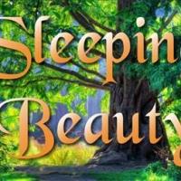Drury Lane Theatre for Young Adults to Stage SLEEPING BEAUTY, 4/23-6/7 Video
