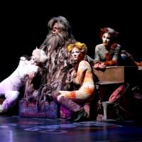 Photo Flash: First Look at Katy Blake, Erica Cenci and More in NSMT's CATS Video