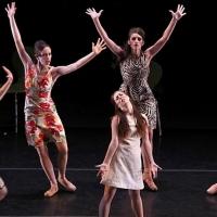 American Repertory Ballet to Bring FIREBIRD to McCarter Theatre, 3/12 Video