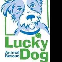 Lucky Dog Animal Rescue Honored as a 2013 Top-Rated Nonprofit