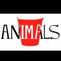 Wide Eyed Productions Presents ANIMALS at FringeNYC, Now thru 8/23 Video
