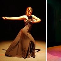 Forever Flamenco Presents 'Ecos de Andalucia' at the Fountain Theatre, 3/10 Video