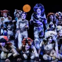 Photo Flash: First Look at BroadHollow Theatre's CATS