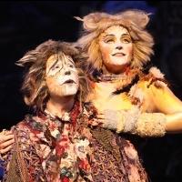 BWW Reviews: Broadway Rose Gives Its All to CATS Video