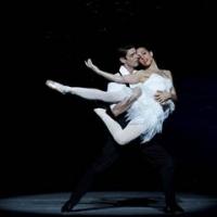 The Australian Ballet Brings Graeme Murphy's SWAN LAKE to Sydney Tonight Video
