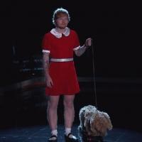 VIDEO: Ed Sheeran to Play ANNIE in Live ABC Production? Video
