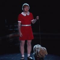 VIDEO: Ed Sheeran to Play ANNIE in Live ABC Production?