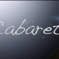 CABARET LIFE NYC: My Second Half of 2014 Cabaret Journey or One Reviewer's Long Procrastination Special as We Bid Farewell to Another Year of Show Hopping