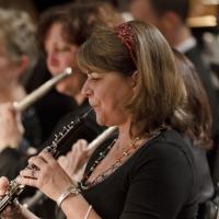 N.C. Symphony Announces 2015/16 Season