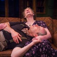 Photo Flash: First Look at Michael Mendelson, Abby Wilde and More in Artists Rep's TE Video