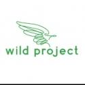 Poetic License Festival, AGELESS, TIMELESS, ETERNAL and More Play The Wild Project, N Video